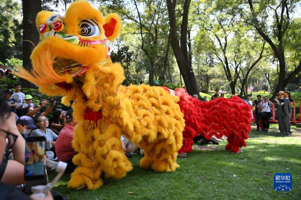 lol云顶官网